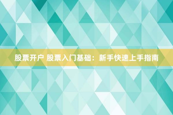 股票开户 股票入门基础：新手快速上手指南