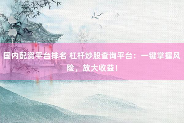 国内配资平台排名 杠杆炒股查询平台：一键掌握风险，放大收益！