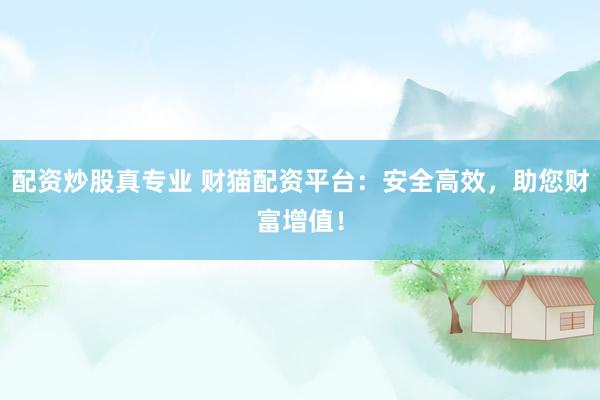 配资炒股真专业 财猫配资平台：安全高效，助您财富增值！