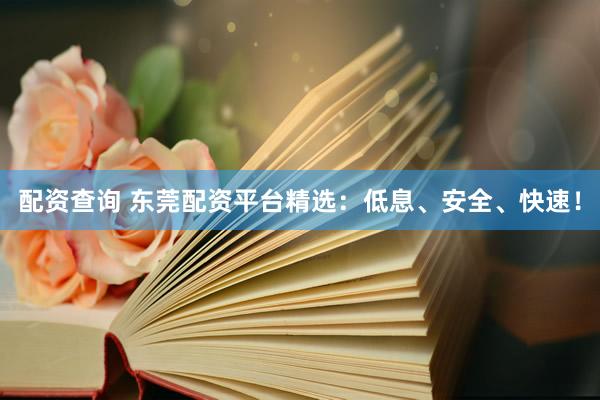 配资查询 东莞配资平台精选：低息、安全、快速！