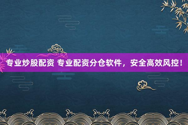 专业炒股配资 专业配资分仓软件，安全高效风控！