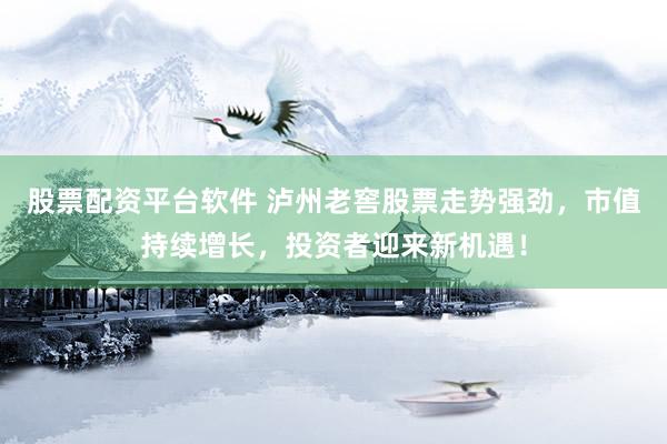 股票配资平台软件 泸州老窖股票走势强劲，市值持续增长，投资者迎来新机遇！