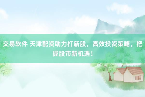 交易软件 天津配资助力打新股，高效投资策略，把握股市新机遇！