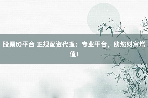 股票t0平台 正规配资代理:专业平台,助您财富增值!