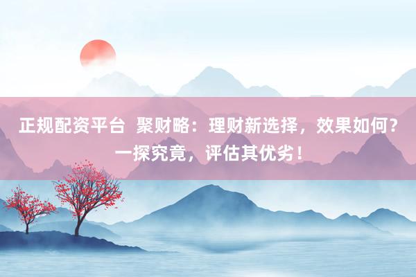正规配资平台 聚财略:理财新选择,效果如何?一探究竟,评估其优劣!