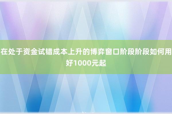 在处于资金试错成本上升的博弈窗口阶段阶段如何用好1000元起