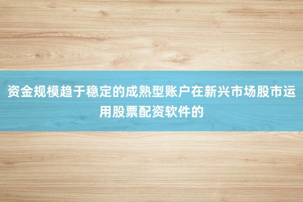 资金规模趋于稳定的成熟型账户在新兴市场股市运用股票配资软件的