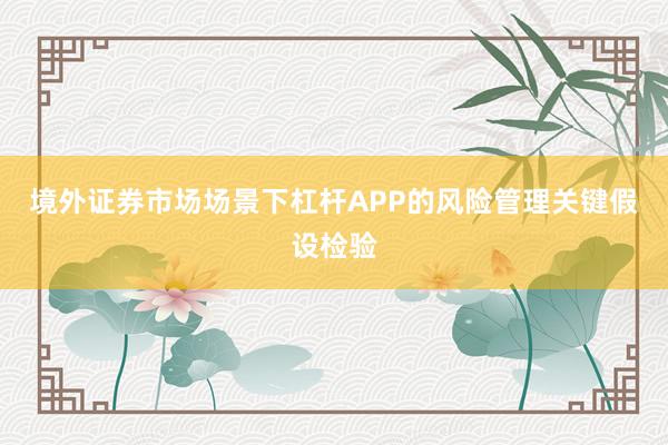 境外证券市场场景下杠杆APP的风险管理关键假设检验