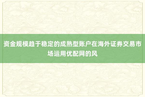 资金规模趋于稳定的成熟型账户在海外证券交易市场运用优配网的风