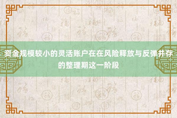 资金规模较小的灵活账户在在风险释放与反弹并存的整理期这一阶段