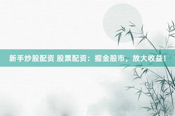 新手炒股配资 股票配资:掘金股市,放大收益!