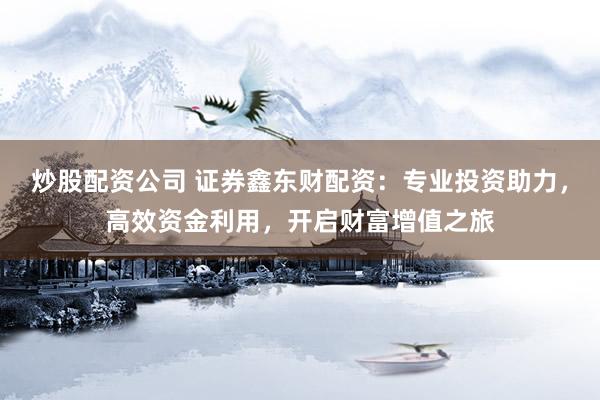 炒股配资公司 证券鑫东财配资：专业投资助力，高效资金利用，开启财富增值之旅